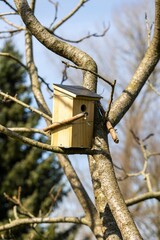 A square shaped birdhouse standing on a branch of a leafless tree in a garden on a sunny day. The bird hole of the nest box is visible and it is mounted on the tree with some wire and sticks.
