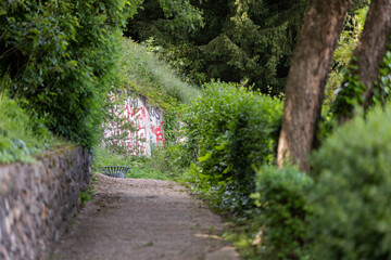 Path in the urban park