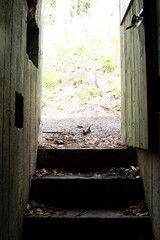 View from inside a German WW2 bunker. This is a bunker from Silkeborg and was built in 1944. Vertical.