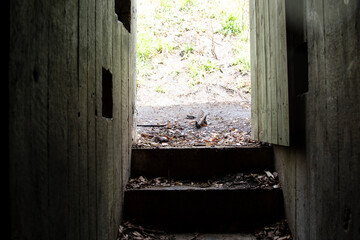 View from inside a German WW2 bunker. This is a bunker from Silkeborg and was built in 1944. Horisontal.