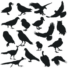 Birds Illustration Clip Art Design Shape. Collection Silhouettes Icon Animal Vector.