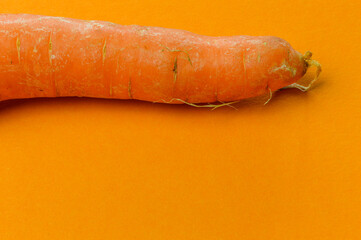 orange carrot on orange textured paper background with a lot of space for copy close up