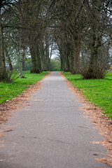 Fototapeta na wymiar Footpath in a park, Bristol, UK