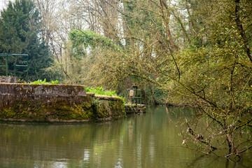 Fototapeta na wymiar River Fromes in Snuff Mills Park, Bristol UK