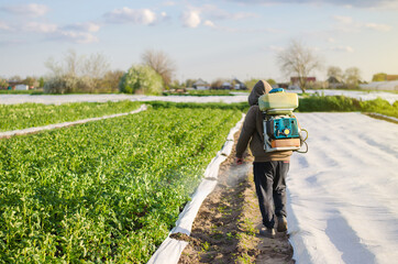 Male farmer with a mist sprayer processes potato bushes with chemicals. Protection of cultivated plants from insects and fungal infections. Control of use of chemicals growing food. Increased harvest.