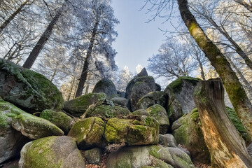 At the Guenterfelsen, in the Black Forest, Germany before the beginning of winter, when the frost...