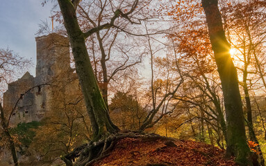 Castle Roetteln a thousand year old ruin near the City of Loerrach, viewed through autumn trees, in the Black Forest, Germany