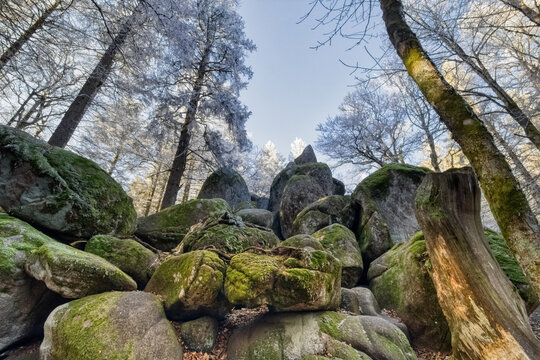 At the Guenterfelsen, in the Black Forest, Germany before the beginning of winter, when the frost ripe is visible only on the pine needles and the icy moss of the giant rocks