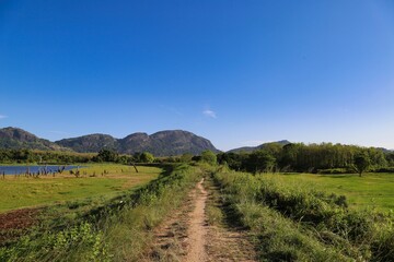 Conty road