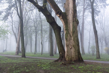 Fototapeta premium Palace of the Rumyantsevs and Paskevichs. Gomel palace and park ensemble in winter named after Lunacharsky. Gomel. Belarus. Spring in the Gomel park. Museum. Sights of Gomel.