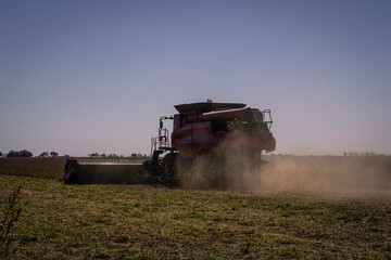 Fototapeta premium combine harvester working on a field