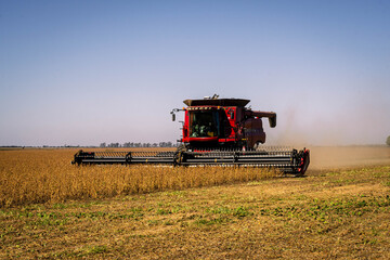 Fototapeta premium combine harvester working on a field