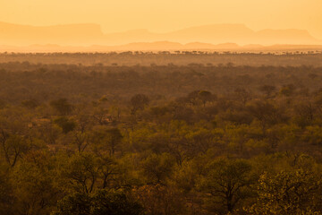 Sunset view of the woodlands of southern Kruger National Park and the distant mountains from the Matekenyane viewpoint, South Africa