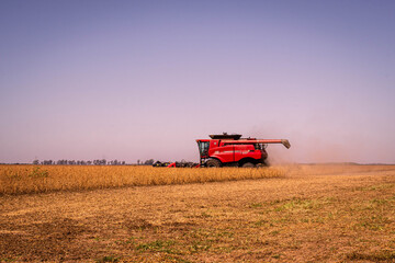 combine harvester working in the field
