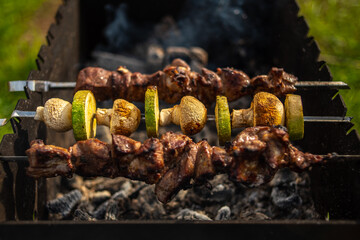 Grilled meat with vegetables on coals