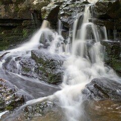 waterfall in the forest
