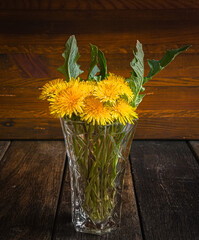 A bouquet of yellow dandelions in a crystal vase on a wooden table. The beauty of wildflowers.