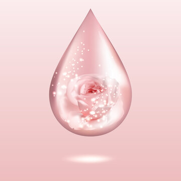 Pink rose oil drop with lights, glares and shadows. Shiny perfume water dew. Aromatherapy sign. Vector illustration.