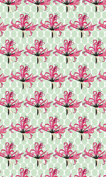 Vector illustration of amaryllis with pattern options of pink and green dotted backgrounds and patterns with amaryllises in 2 sizes