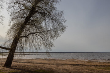 Springtime landscape at the Burtnieku lake in Latvia