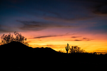 The quintessential picture of the Sonoran Desert, outside of Phoenix, Arizona, during a sunset in...