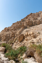 Beautiful scenic Ein Gedi National Park in southern Israel near the Dead Sea
