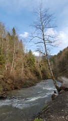 Romania Bistrita Anies Valley Anies 2018