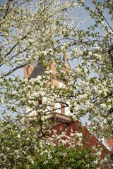 Bistrita Evangelical Church Tower IN  2016