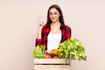 Farmer with freshly picked vegetables in a box isolated on beige background pointing with the index finger a great idea