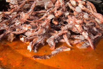 tentacles  calamari octopus in Bistrita,Romania 2020