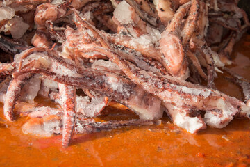 tentacles  calamari octopus in Bistrita,Romania 2020