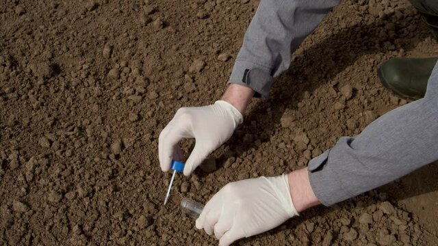 agronomist collecting sample for laboratory analysis, close-up view of man's hands grabbing lumps of soil to laboratory tube for purpose of chemical study, front view of caucasian man in protective