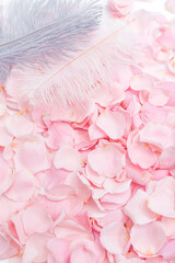 Obraz premium Background of delicate pink rose petals closeup