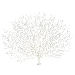 Realistic flowers and plants for designer compositions and interior decoration of residential and office premises. Dry decorative branch of white color. White isolated background