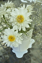  White daisy flower on a table 