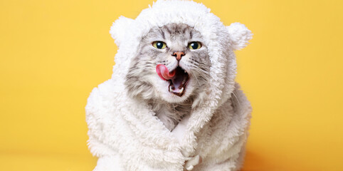 Funny gray tabby cute kitten with beautiful big eyes licking lips. Pets concept. Lovely fluffy cat in bear costume on yellow background. © KDdesignphoto