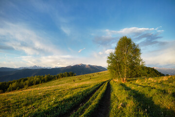 Mountain valley during bright sunrise, horses in a blooming meadow. Beautiful natural landscape. Adygea, do-do-gush