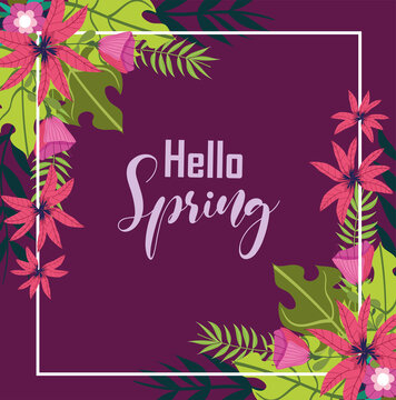 hello spring background