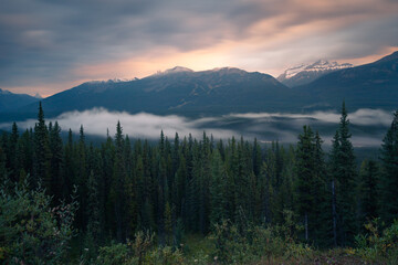 Long exposure of mist rolling through the valley in Banff National Park in the early morning. Blue hour with sparse sunlight in Canadian Rockies. Morning in the mountains of Alberta, CAN.