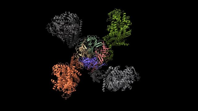 Structure of human KATP bound to ATP and ADP in propeller form, 3D cartoon and Gaussian surface model  with differently colored subunits, rotated in two projections, black background