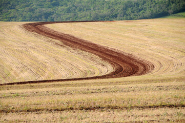 Curva de nível para evitar erosão do solo com as chuvas em área recém coletada de trigo....