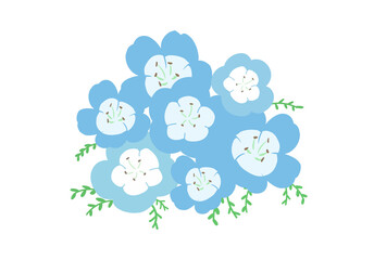 ネモフィラ　群生