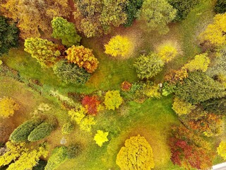 Colourful Autumn Suburban Trees