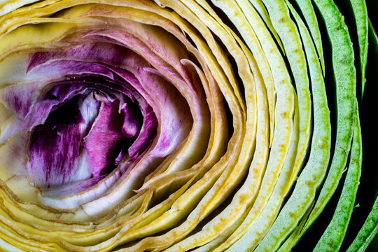 Closeup of sliced artichoke 