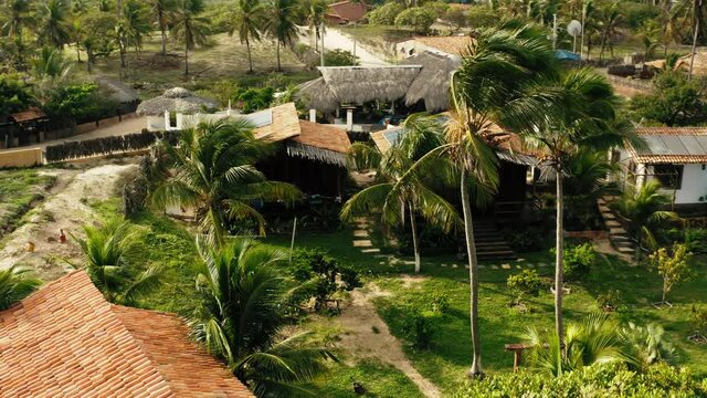brazil aktins hut palms travel summer holiday destination camp 4k