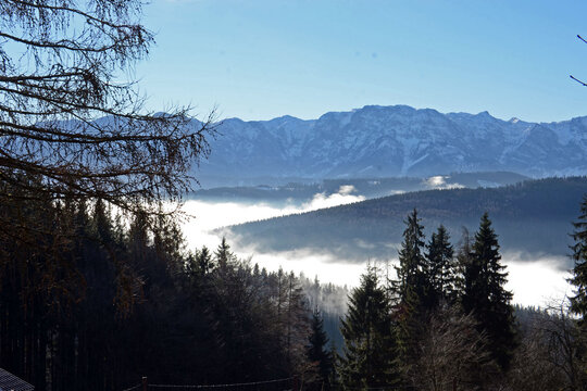 Der Berg Hongar im Herbst im Nebel, V&ouml;cklabruck, &Ouml;sterreich, Europa - The Hongar mountain in autumn in the fog, Voecklabruck, Austria, Europe