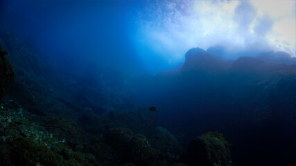 Dramatic underwater waves in light