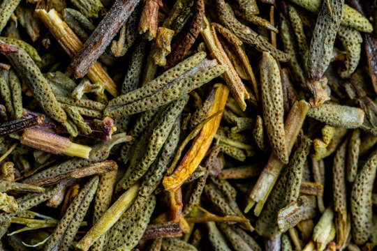 Closeup of dried thyme