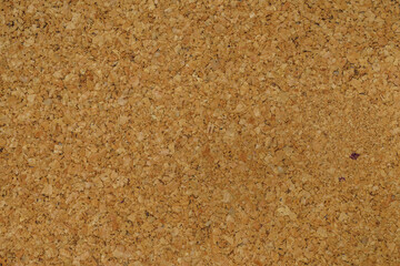 Fragment of a cork panel. Close up.