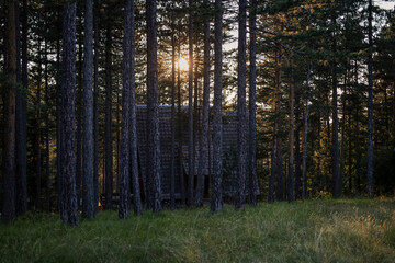 A log cabin placed in the woods viewed at sunset
